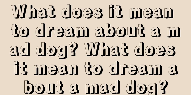 What does it mean to dream about a mad dog? What does it mean to dream about a mad dog?