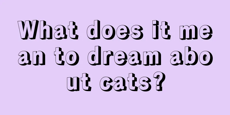 What does it mean to dream about cats?