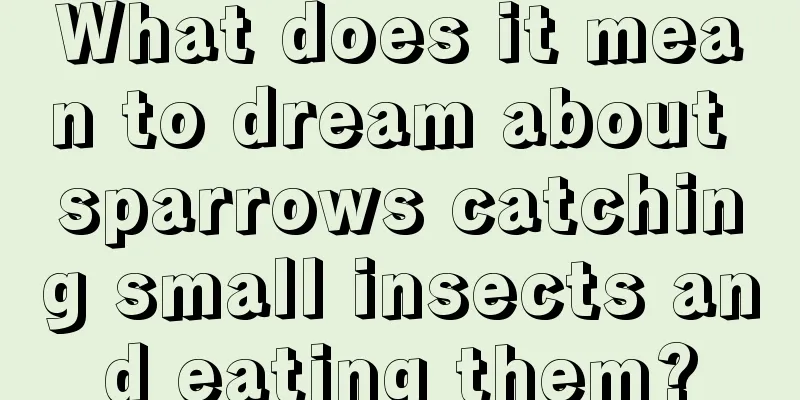 What does it mean to dream about sparrows catching small insects and eating them?