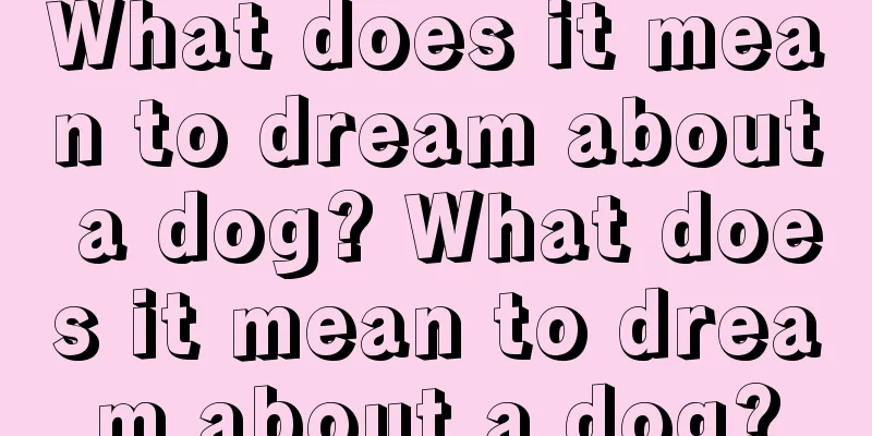 What does it mean to dream about a dog? What does it mean to dream about a dog?