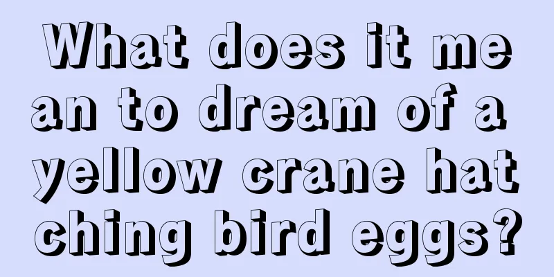 What does it mean to dream of a yellow crane hatching bird eggs?