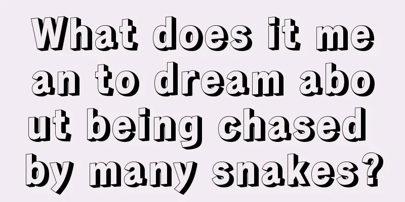 What does it mean to dream about being chased by many snakes?