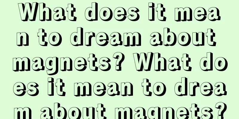 What does it mean to dream about magnets? What does it mean to dream about magnets?