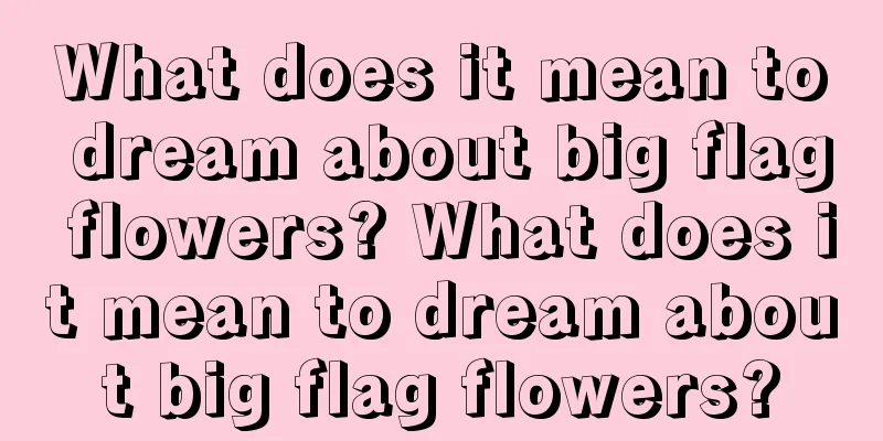 What does it mean to dream about big flag flowers? What does it mean to dream about big flag flowers?