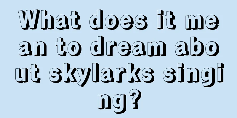 What does it mean to dream about skylarks singing?