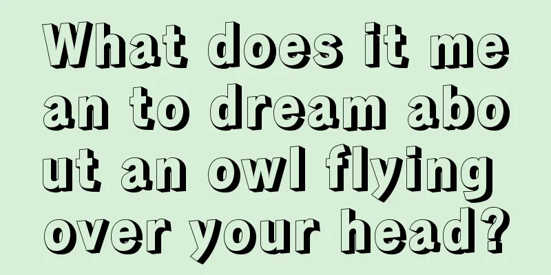 What does it mean to dream about an owl flying over your head?