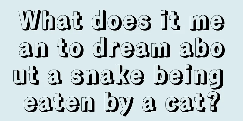 What does it mean to dream about a snake being eaten by a cat?