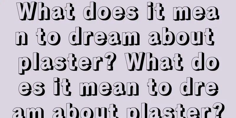 What does it mean to dream about plaster? What does it mean to dream about plaster?