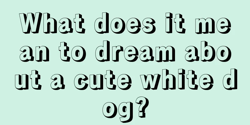 What does it mean to dream about a cute white dog?