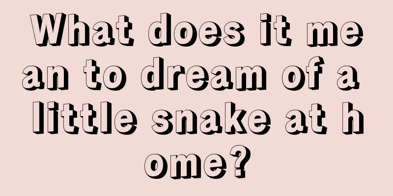 What does it mean to dream of a little snake at home?