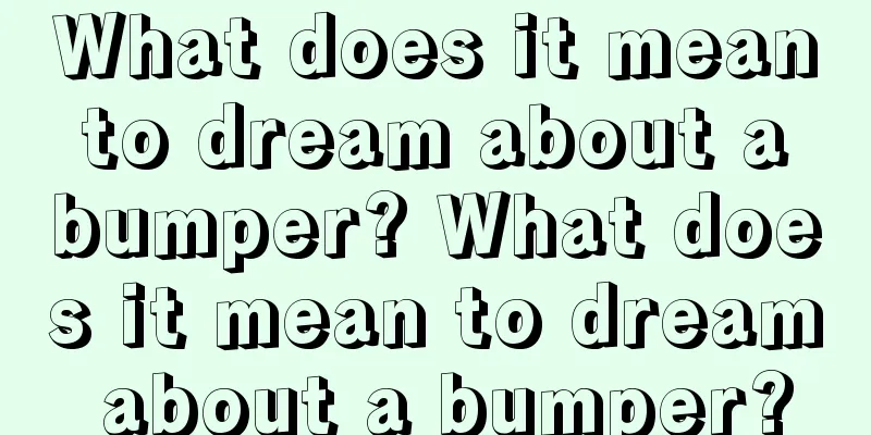 What does it mean to dream about a bumper? What does it mean to dream about a bumper?