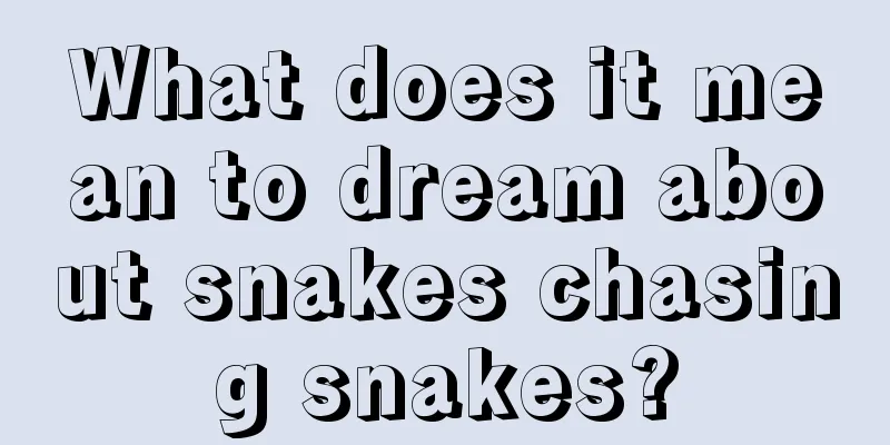 What does it mean to dream about snakes chasing snakes?