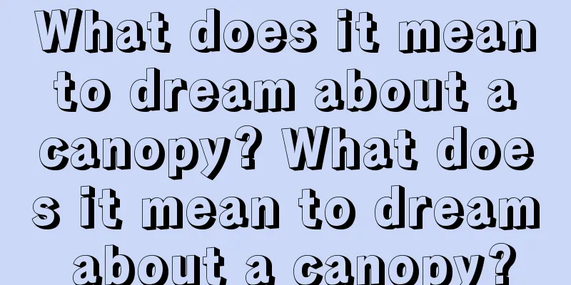 What does it mean to dream about a canopy? What does it mean to dream about a canopy?