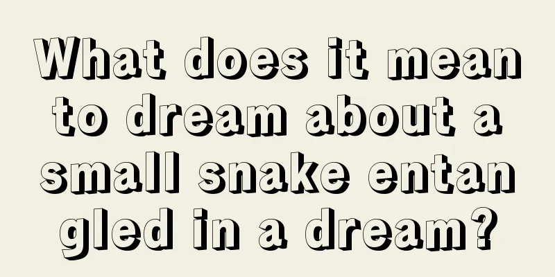 What does it mean to dream about a small snake entangled in a dream?