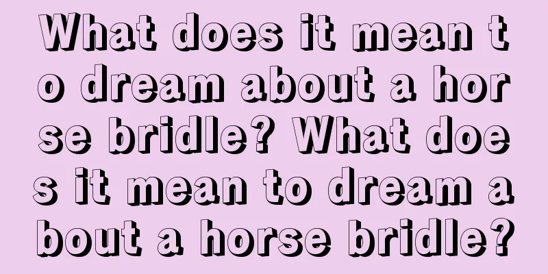 What does it mean to dream about a horse bridle? What does it mean to dream about a horse bridle?