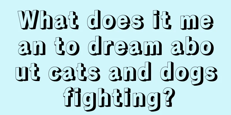 What does it mean to dream about cats and dogs fighting?