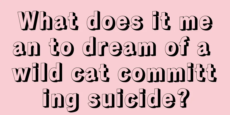 What does it mean to dream of a wild cat committing suicide?