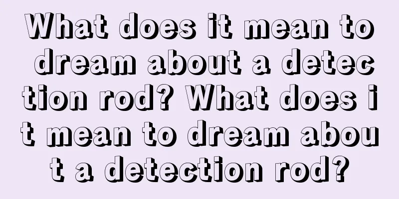 What does it mean to dream about a detection rod? What does it mean to dream about a detection rod?