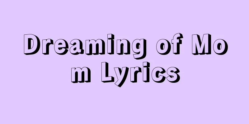 Dreaming of Mom Lyrics