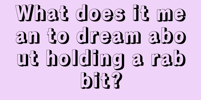 What does it mean to dream about holding a rabbit?