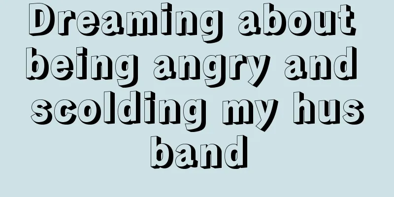 Dreaming about being angry and scolding my husband