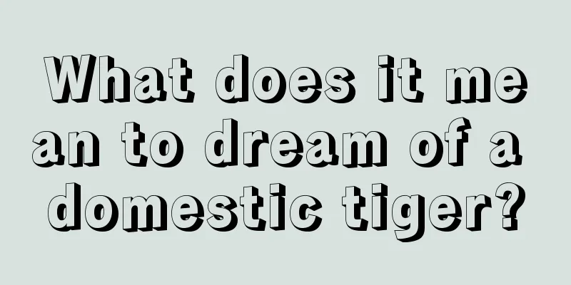 What does it mean to dream of a domestic tiger?