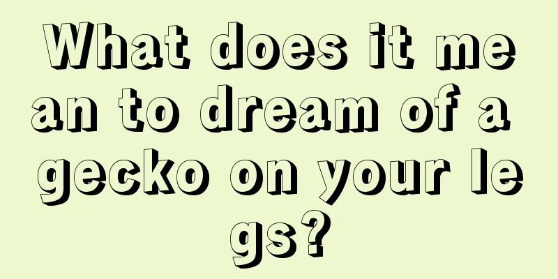 What does it mean to dream of a gecko on your legs?