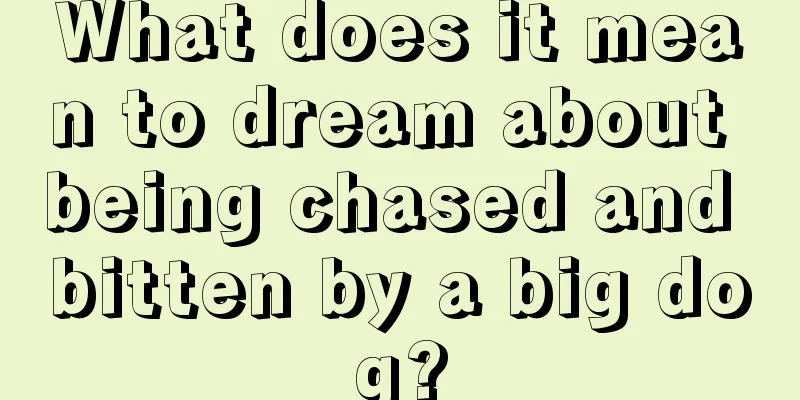 What does it mean to dream about being chased and bitten by a big dog?