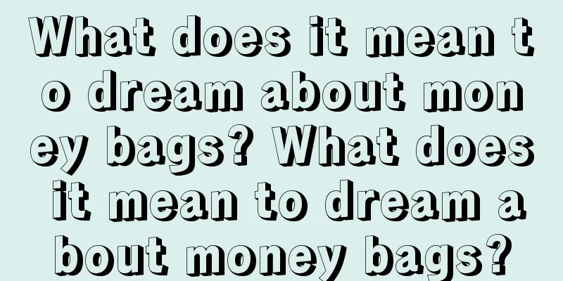 What does it mean to dream about money bags? What does it mean to dream about money bags?