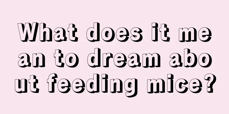 What does it mean to dream about feeding mice?