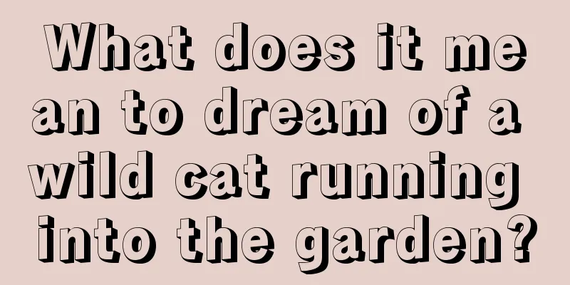 What does it mean to dream of a wild cat running into the garden?