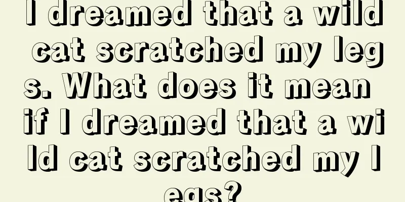 I dreamed that a wild cat scratched my legs. What does it mean if I dreamed that a wild cat scratched my legs?