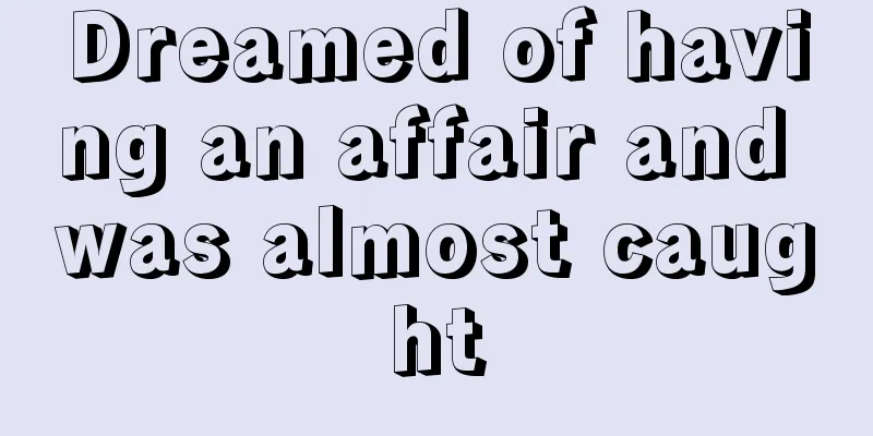 Dreamed of having an affair and was almost caught