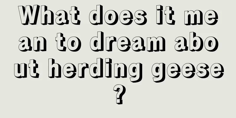 What does it mean to dream about herding geese?