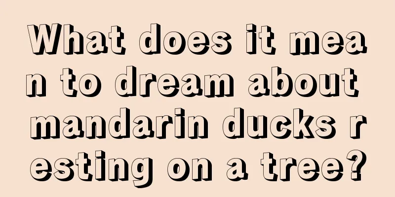 What does it mean to dream about mandarin ducks resting on a tree?