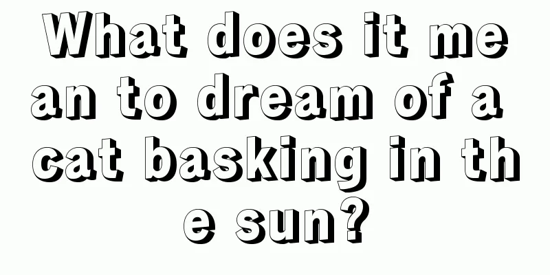 What does it mean to dream of a cat basking in the sun?