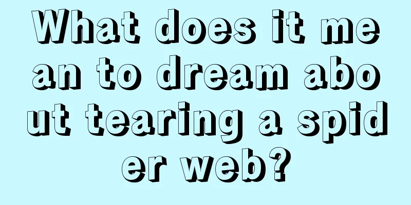 What does it mean to dream about tearing a spider web?