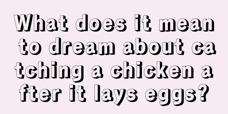 What does it mean to dream about catching a chicken after it lays eggs?