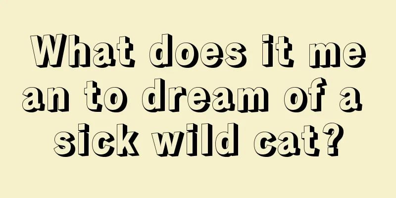 What does it mean to dream of a sick wild cat?