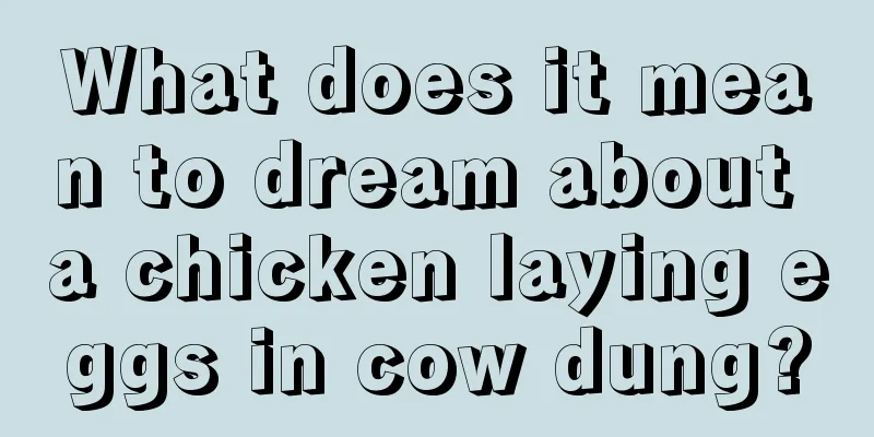 What does it mean to dream about a chicken laying eggs in cow dung?