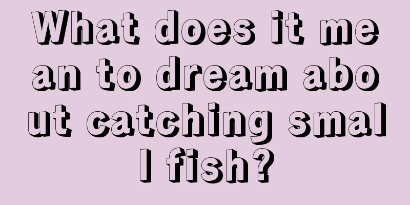 What does it mean to dream about catching small fish?