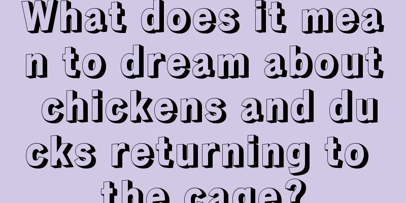 What does it mean to dream about chickens and ducks returning to the cage?