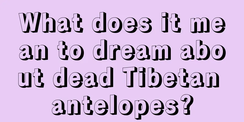 What does it mean to dream about dead Tibetan antelopes?