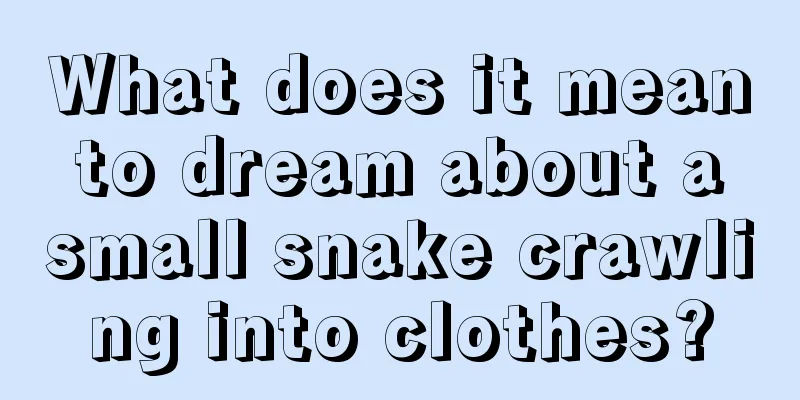 What does it mean to dream about a small snake crawling into clothes?