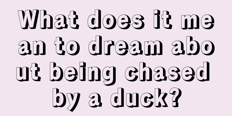 What does it mean to dream about being chased by a duck?