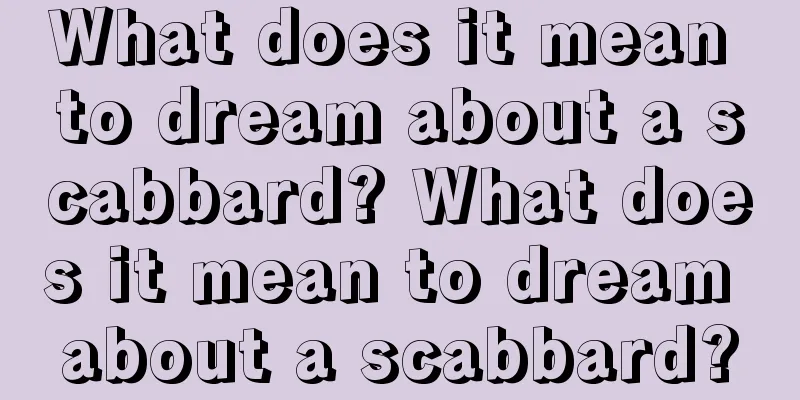 What does it mean to dream about a scabbard? What does it mean to dream about a scabbard?