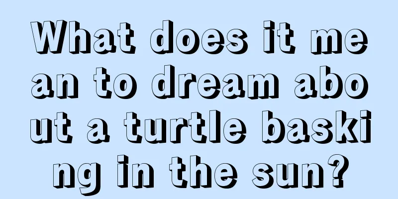 What does it mean to dream about a turtle basking in the sun?