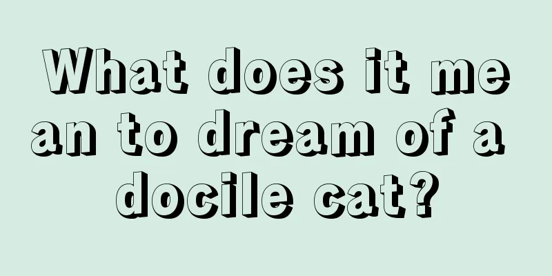 What does it mean to dream of a docile cat?