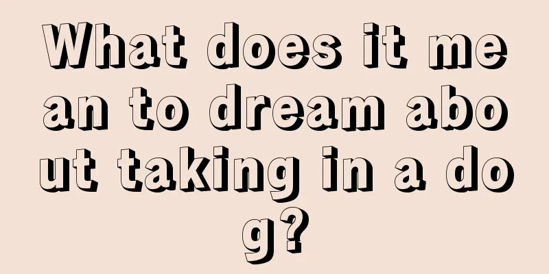 What does it mean to dream about taking in a dog?