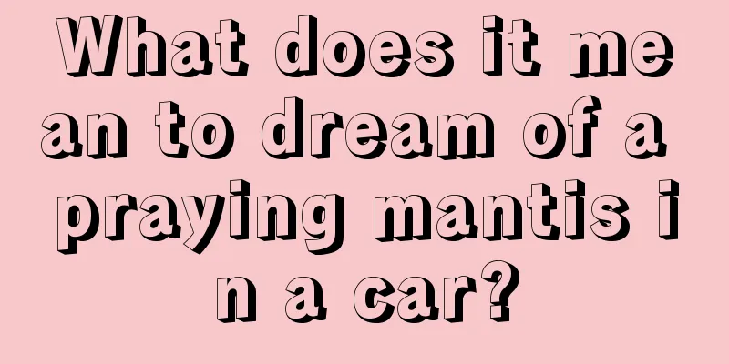 What does it mean to dream of a praying mantis in a car?